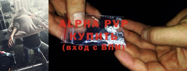 ГАЛЛЮЦИНОГЕННЫЕ ГРИБЫ Горно-Алтайск