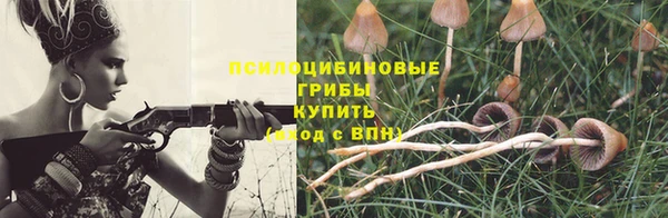ГАЛЛЮЦИНОГЕННЫЕ ГРИБЫ Горно-Алтайск