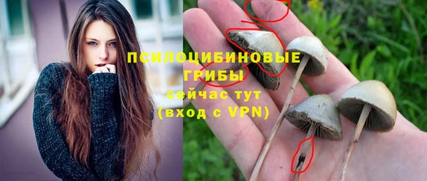 каннабис Сясьстрой